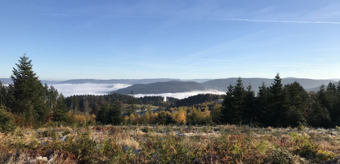 Aperçu de POINT DE VUE DE LA VIGOTTE