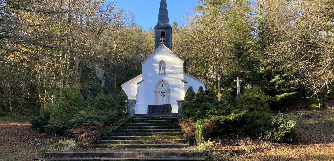 Aperçu de VISITE GUIDEE : LA VIE DE SAINT AMÉ