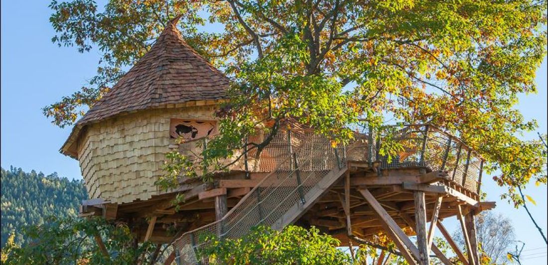 Aperçu de LES CABANES DU CHÊNE ROUVRE