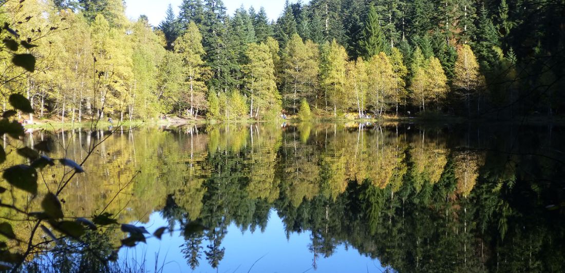 Aperçu de LAC DE LA MAIX