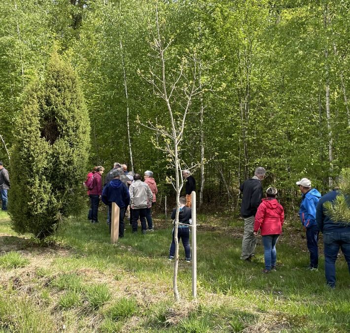 Aperçu de SENTIER DE L'ARBORETUM N°14