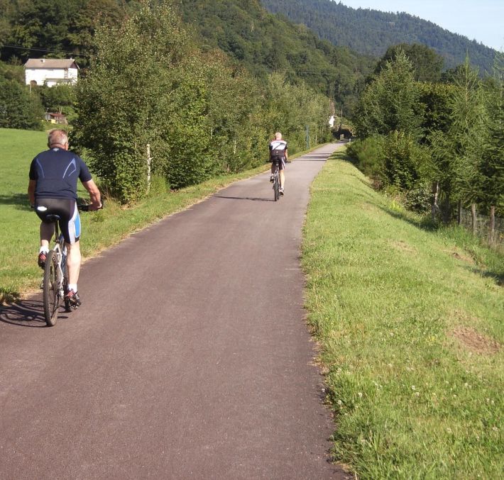 Aperçu de LA VOIE VERTE DES HAUTES VOSGES