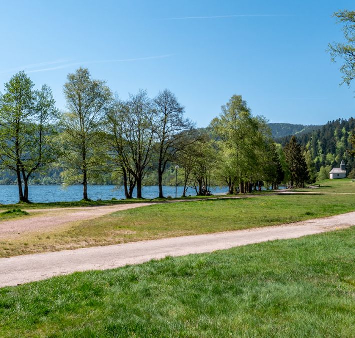 Aperçu de BALADE DU TOUR DU LAC DE LONGEMER