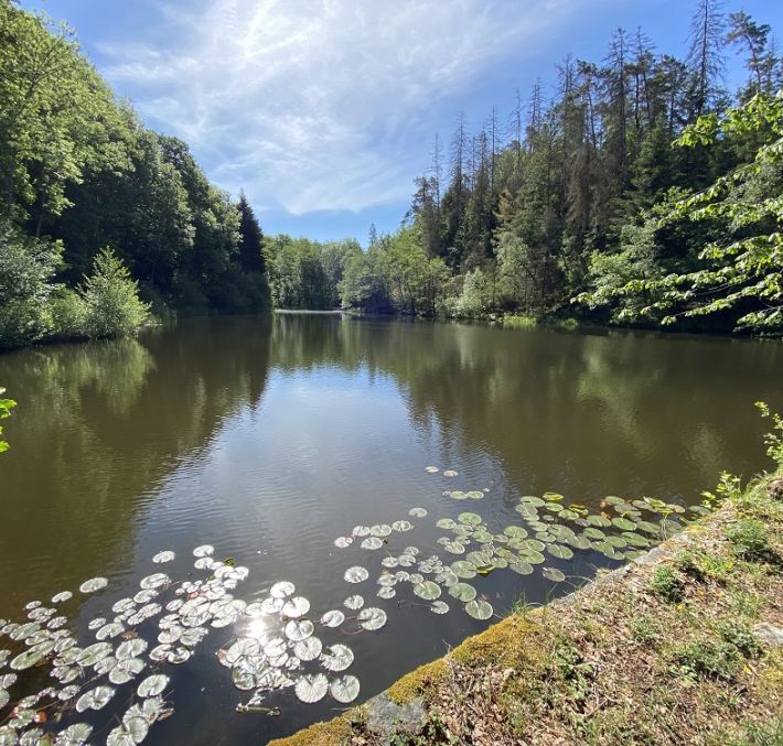 Aperçu de RANDONNÉE - CASCADE DE MIRAUMONT PAR LA PIOTTE