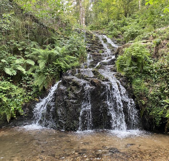 Aperçu de RANDONNÉE - LA CASCADE DE FAYMONT