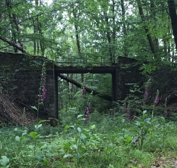 Aperçu de RANDONNÉE - LA VALLÉE DE LA SEMOUSE