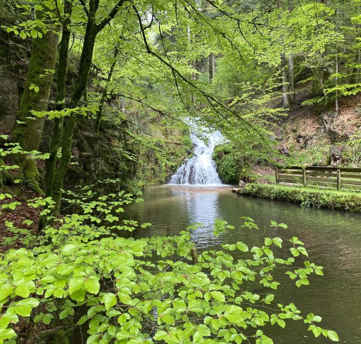 Aperçu de RANDONNÉE - LA CASCADE DEPUIS PLOMBIÈRES