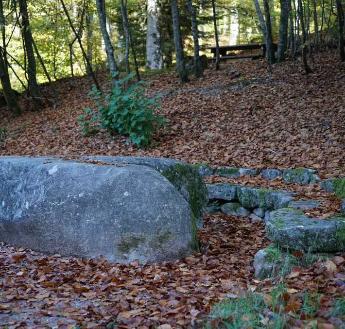 Aperçu de RANDONNÉE - LES HAUTS DE SAINT-NABORD