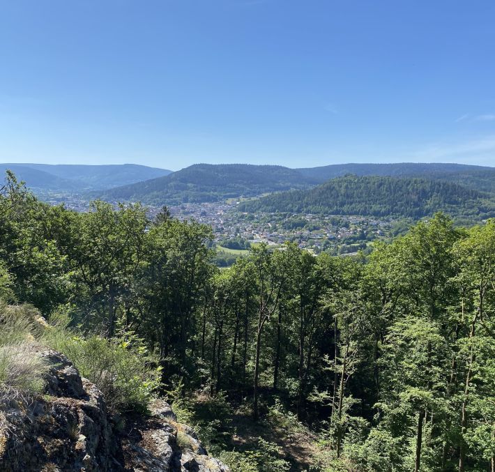 Aperçu de PARCOURS TRAIL N°04 ROUGE - MONTIROCHE ET ÉTANG DE HUCHÈRE