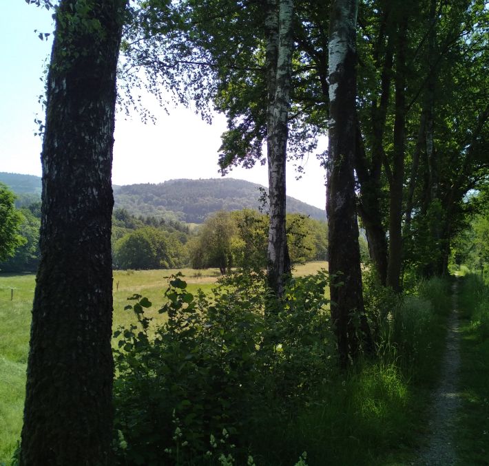 Aperçu de PARCOURS DE JONCTION SAINT-NABORD ELOYES