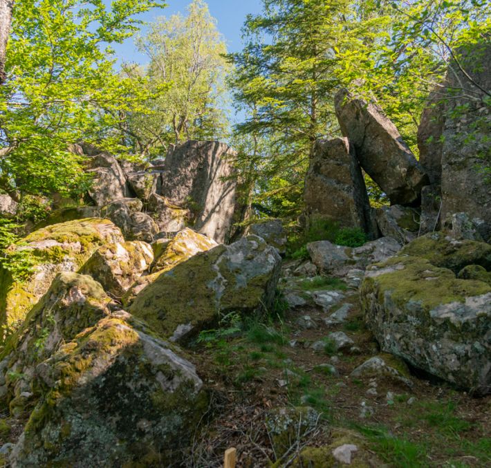 Aperçu de RANDONNÉE - LES ROCHES DU THIN ET SAINT-SABINE