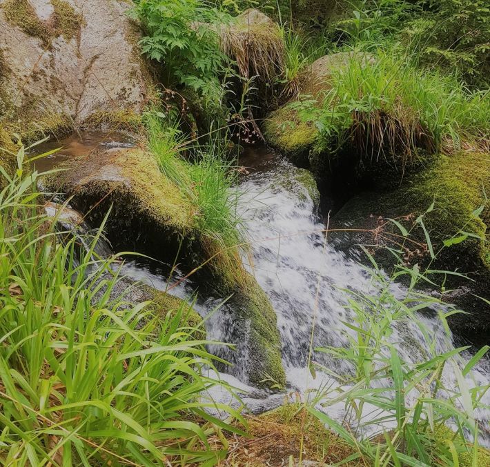 Aperçu de CIRCUIT - CASCADE DU RUDLIN - GAZON DU FAING