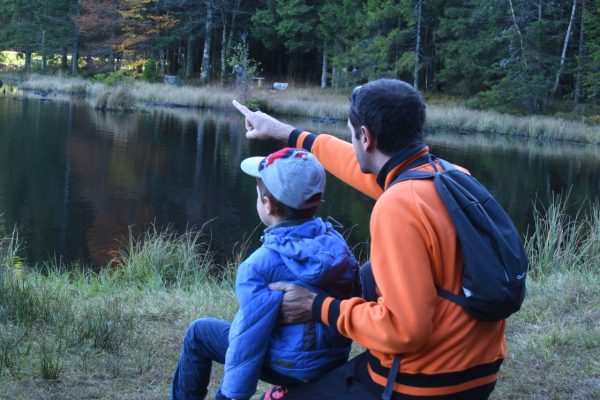 Vue sur la tourbière de Lispach à La Bresse en automne