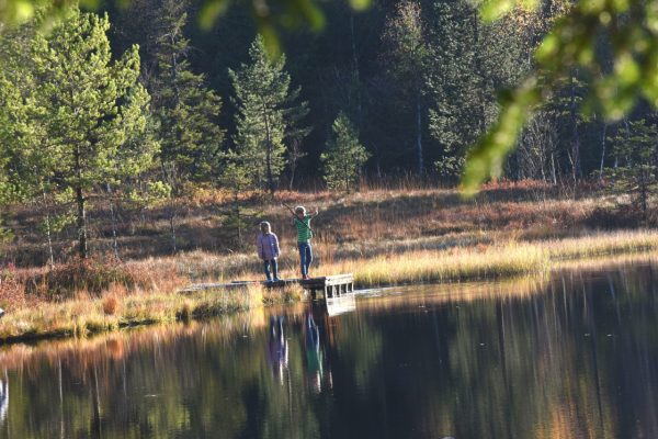 Vue sur la tourbière de Lispach à La Bresse en automne