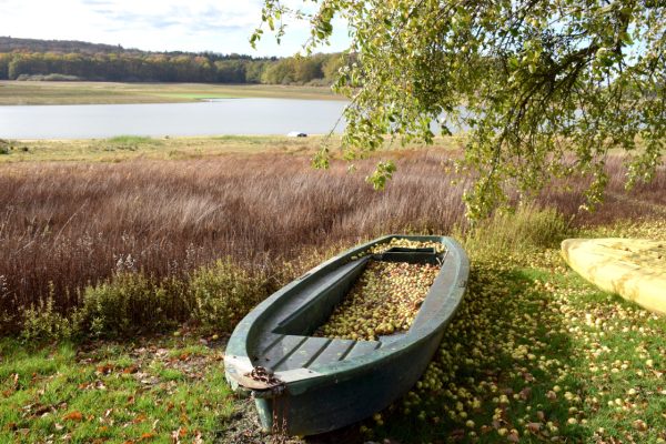 Automne autour du lac de Bouzey